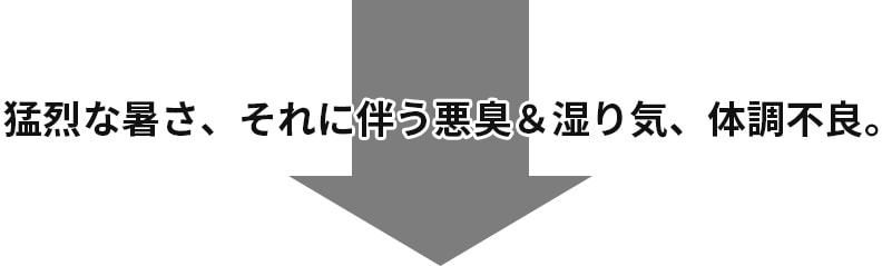 猛烈な暑さ、それに伴う悪臭&湿り気、体調不良。
