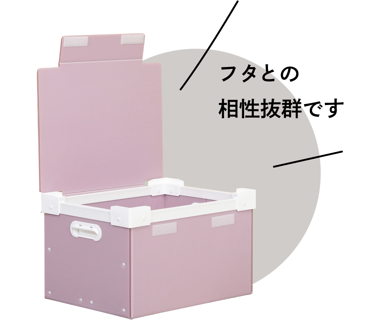 フタとの相性抜群です
