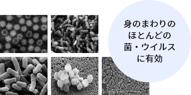 身のまわりのほとんどの菌・ウイルスに有効